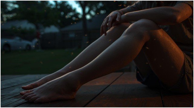 Understanding Why Mosquitoes Keep Coming Back