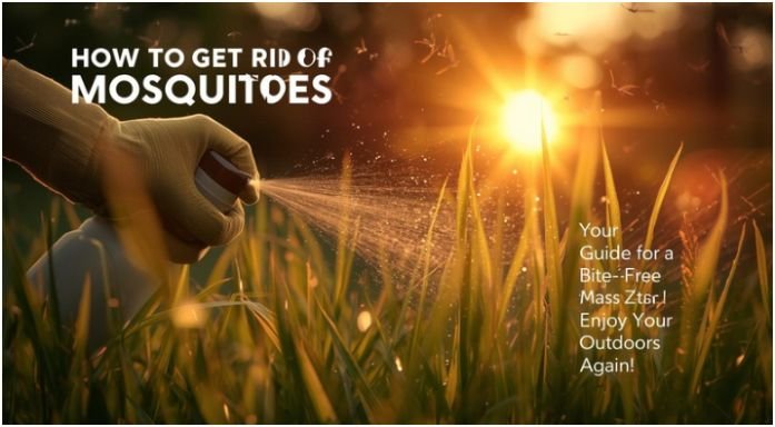 how to get rid of mosquitoes