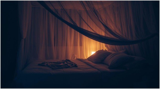 Use Mosquito Traps and Physical Barriers