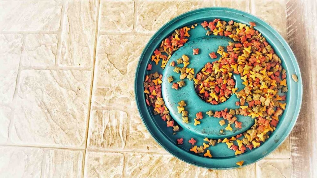 What Exactly is a Slow Feeder Dog Bowl